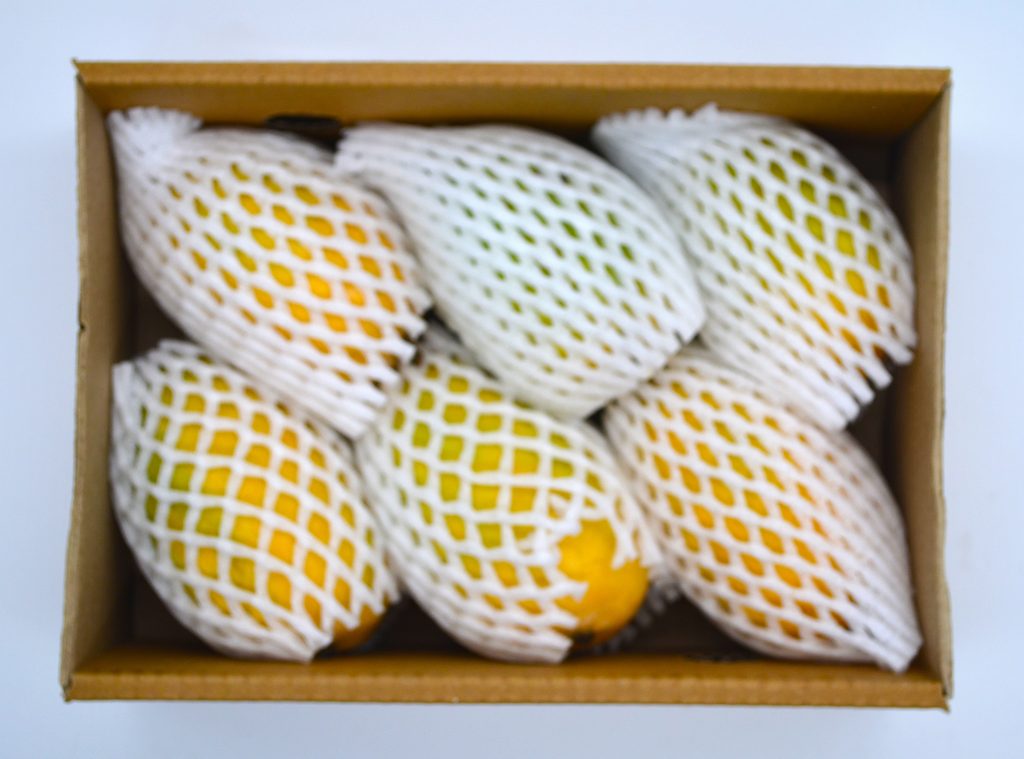 PAKISTANI HONEY MANGOES 2.5KG – Taj Stores