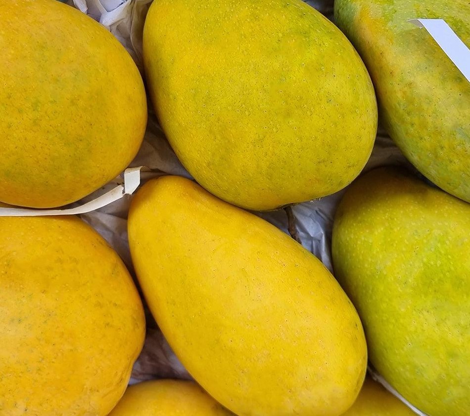 BADAMI MANGOES (5/6'S)
