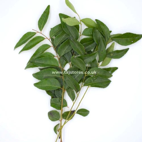FRESH CURRY LEAVES