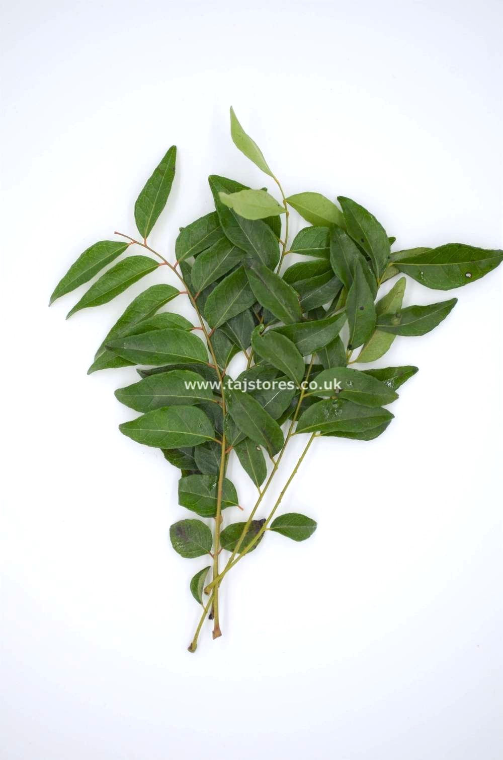 FRESH CURRY LEAVES